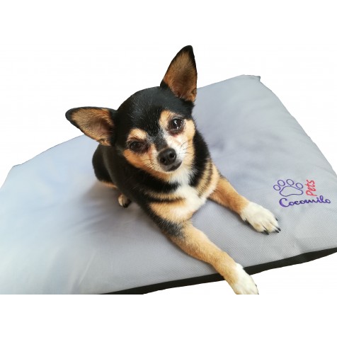 Legowisko gryczane dla psa...